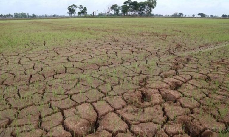 Nelle prossime settimane la siccità si aggraverà in molti paesi d’Europa a causa del perdurare di un’estate calda e secca