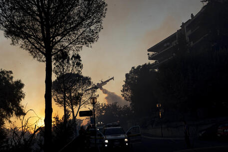 Roma, arresti domiciliari per un piromane: provocò un vasto incendio alla Pisana lo scorso 17 luglio