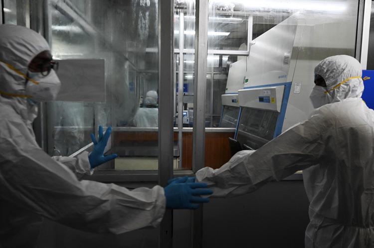 Vaiolo delle scimmie: l’Italia valuta una nuova circolare per la gestione dei casi