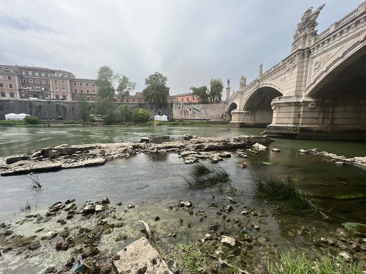 Tevere: a rischio la fauna ittica per le abbondanti piogge dopo un periodo di siccità