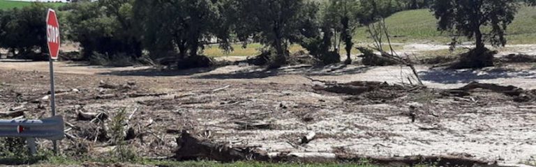 Alluvione nelle Marche, ritrovato lo zainetto del bambino di 8 anni che risulta ancora disperso