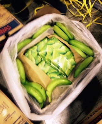 Livorno, in due container di banane scoperti 208 chili di cocaina