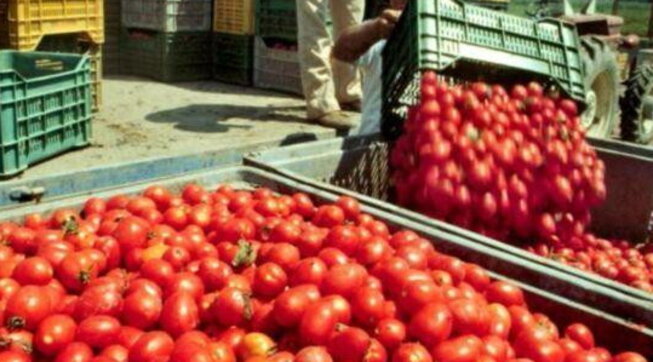 Lecce, bracciante morì nei campi sotto il caldo torrido: 2 condanne a 14 anni