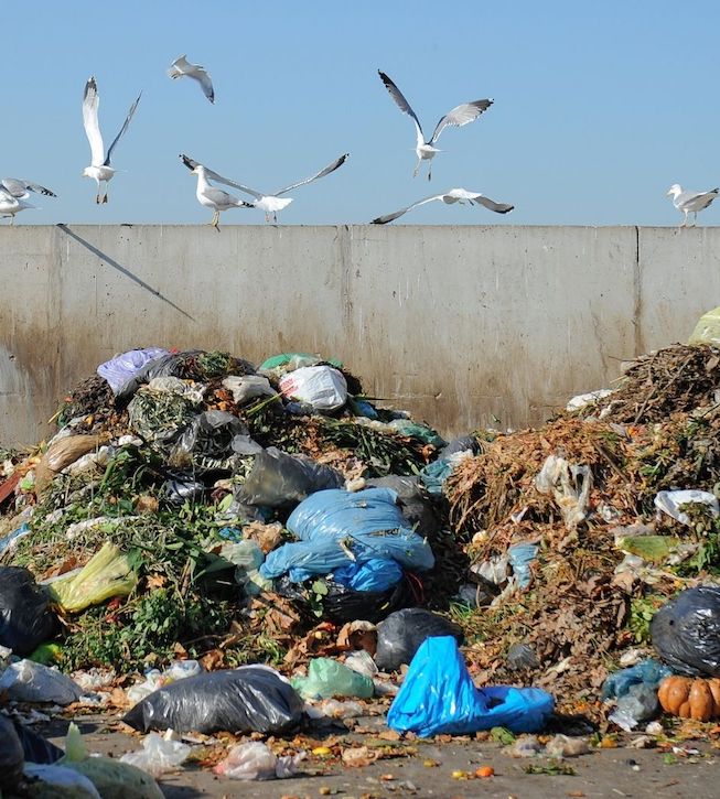 Roma, per il sindaco “L’unica alternativa a termovalorizzatore sarebbe una mega discarica”