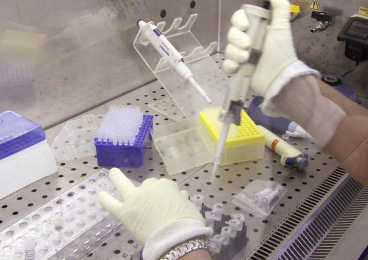 Ocse: cresce l’allarme per i super batteri resistenti agli antibiotici
