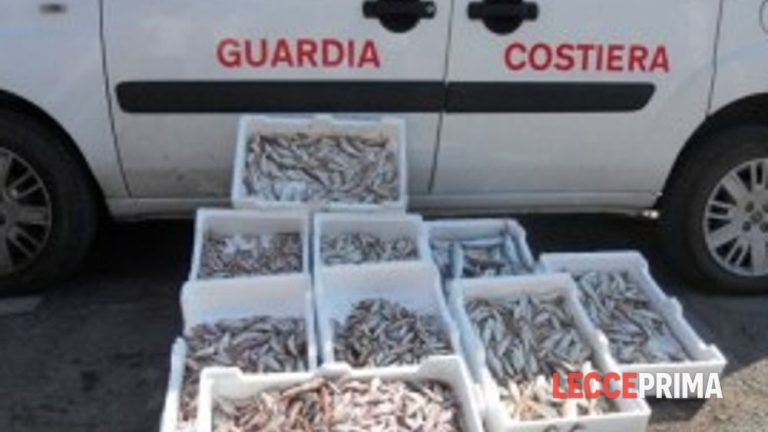Fiumicino (Roma), serquestrati oltre 100 chili di pesce in due ristoranti per gravi carenze igieniche