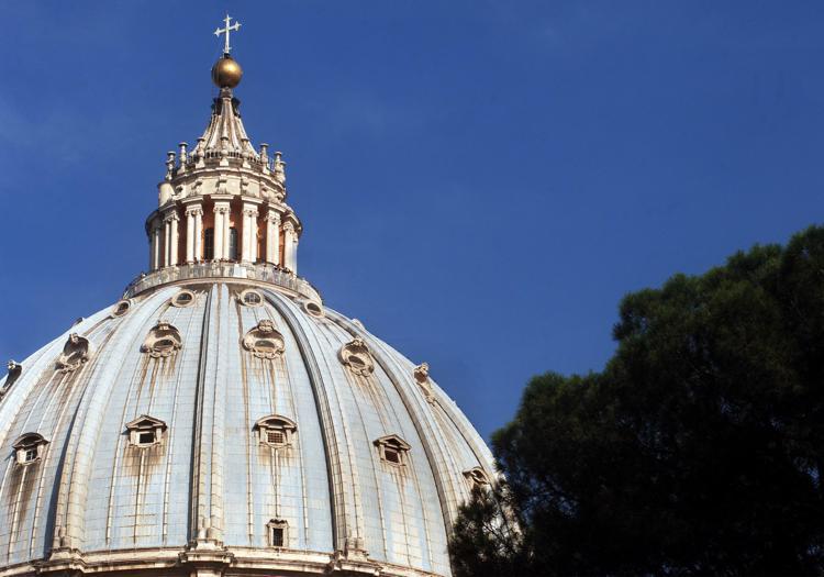 Infuria la polemica in Abruzzo per il taglio dell’abete bianco che il Comune di Rosello (Chieti) quest’anno donerà al Papa per Natale