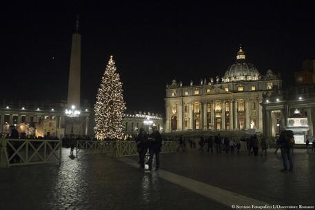 Inaugurato l’albero di Natale in piazza San Pietro