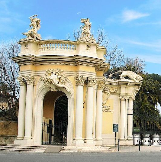 Il Bioparco di Roma aderisce alla Giornata Internazionale delle Foreste domenica 19 marzo con l’evento “Vita in foresta: adattamenti, curiosità e minacce”