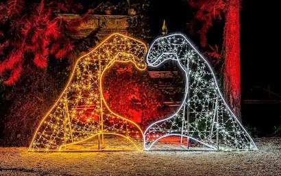 Roma, all’Orto Botanico il festival internazionale “Incanto di luci”