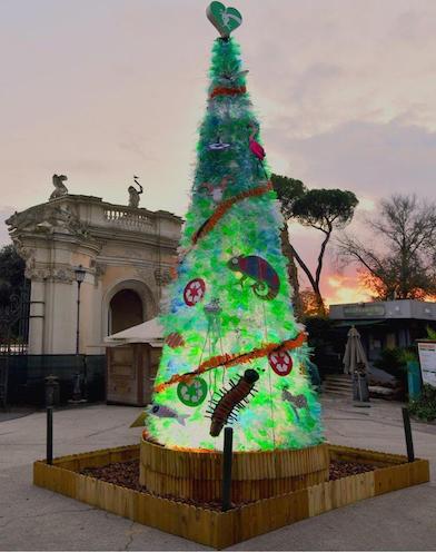 Roma, al Bioparco un albero di Natale ecosostenibile