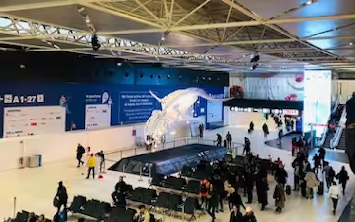 All’aeroporto di Fiumicino una balena illumina l’hub della Capitale