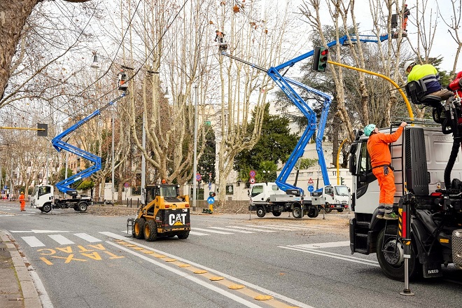 Via Nomentana, terminate le potature dei platani. Strada riaperta al traffico