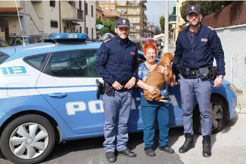 La Polizia ritrova un cane in strada e lo riconsegnano alla proprietaria