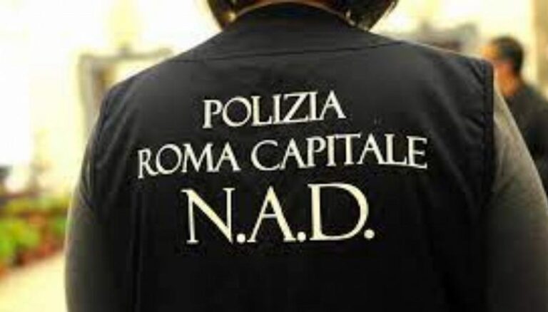 Roma, traffico illecito di rifiuti          tre persone denunciate                     per reati ambientali