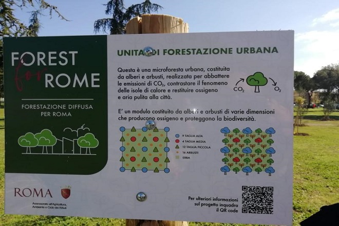 Inaugurato micro bosco urbano        Parco Nicholas Green a Torrevecchia