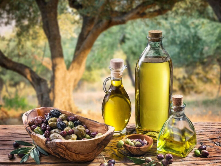 L’oro verde del Lazio: l’olio           extra vergine d’oliva