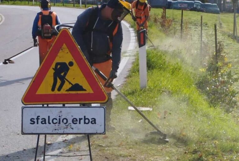 Dal 3 aprile ripresi                              gli interventi di sfalcio