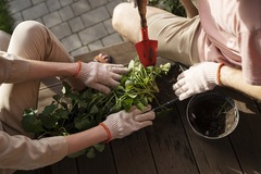 Al via i corsi pubblici di giardinaggio   edizione 2024, al via le prenotazioni