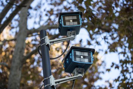 Roma, parla l’assessore Patanè:  “Vogliamo modificare delibera sulla fascia verde”