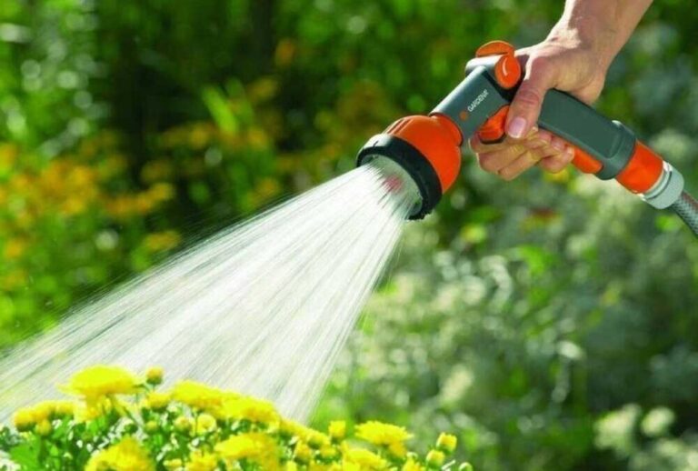 Uniti per Cerveteri: “La Gubetti spieghi come i cittadini potranno irrigare i propri giardini”