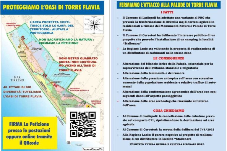 Domenica al mercato di Cerenova nuova petizione per Torre Flavia