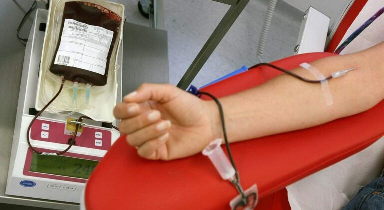 Sabato 8 luglio raccolta sangue     nella sede AVISSabato 8 luglio raccolta sangue
