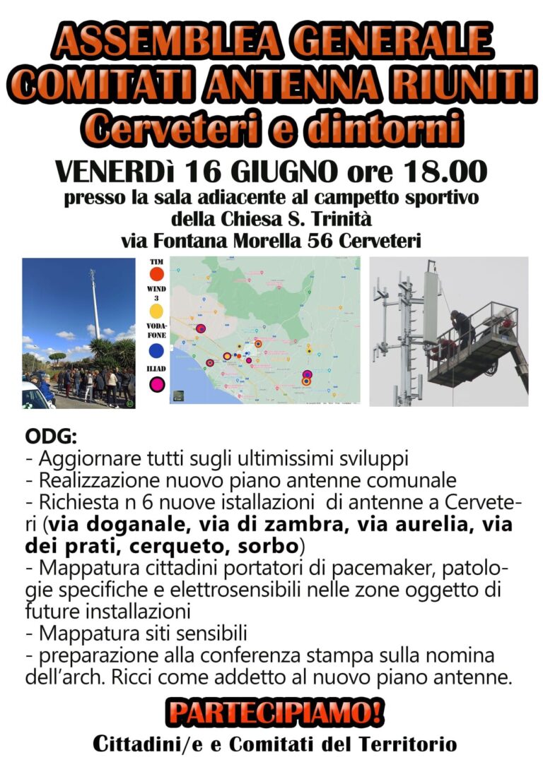 I Comitati dei Cittadini                         in Assemblea Generale