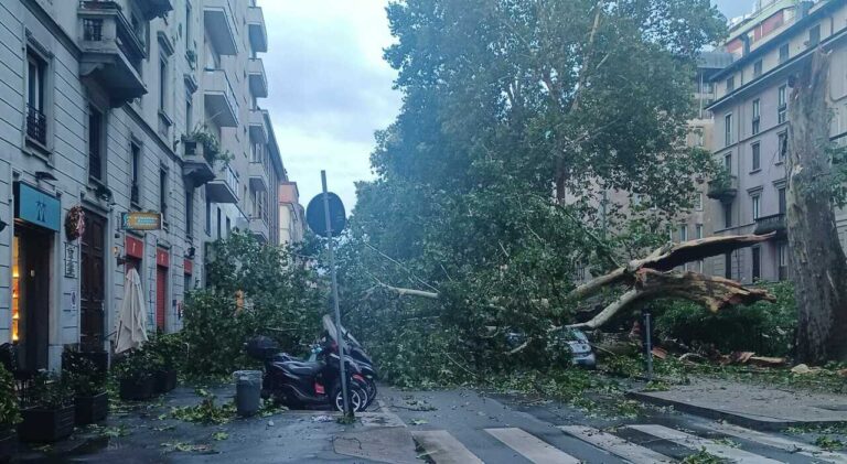 L’appello di 100 scienziati ai media: “Si parli dei cambiamenti climatici”