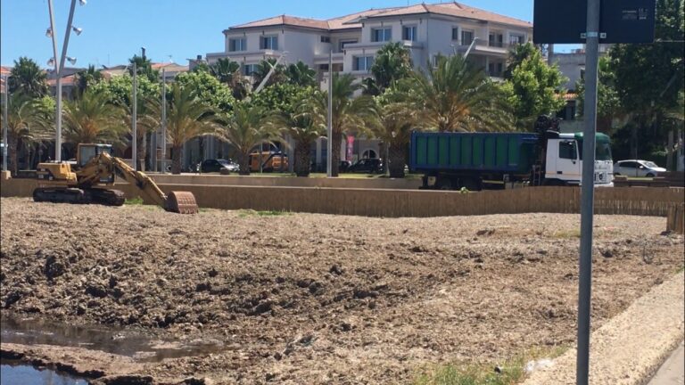 Alghe putrescenti a Ladispoli, anche oggi giornata di fetore