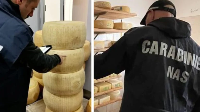 Trentino: bimba di 4 anni mangia formaggio contaminato, è gravissima