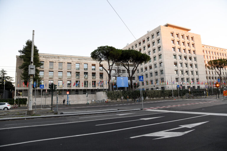 Al via il summit Fao a Roma, obiettivo “Fame Zero” nel 2030