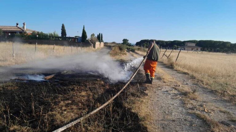 Cerveteri, incendio di sterpaglie in via Furbara Sasso