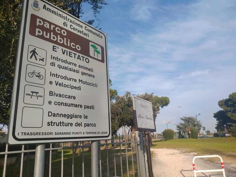 Alberi a Cerenova, una cittadina: “Il taglio una decisione scellerata”