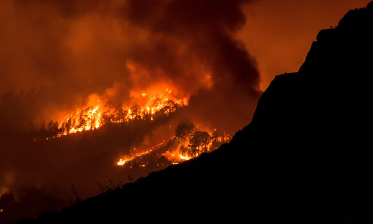 Oltre due miliardi di persone esposte al fumo degli incendi 