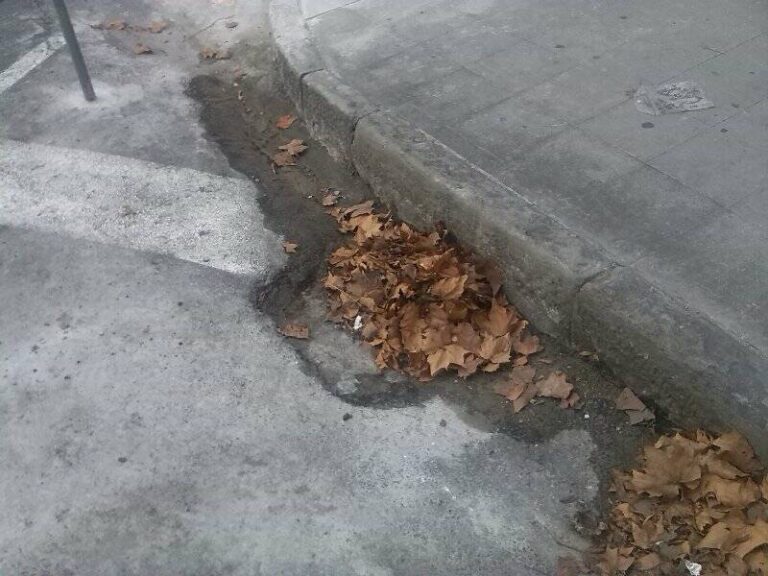 Labaro: rifiuti e caditoie piene di foglie