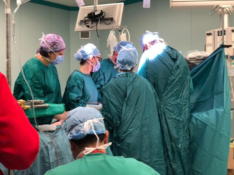 Al Policlinico Tor Vergata primo trapianto di fegato da cadavere senza trasfusioni