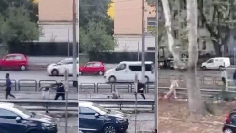 “Al Quarticciolo scene di violenza ogni giorno, il Governo intervenga”