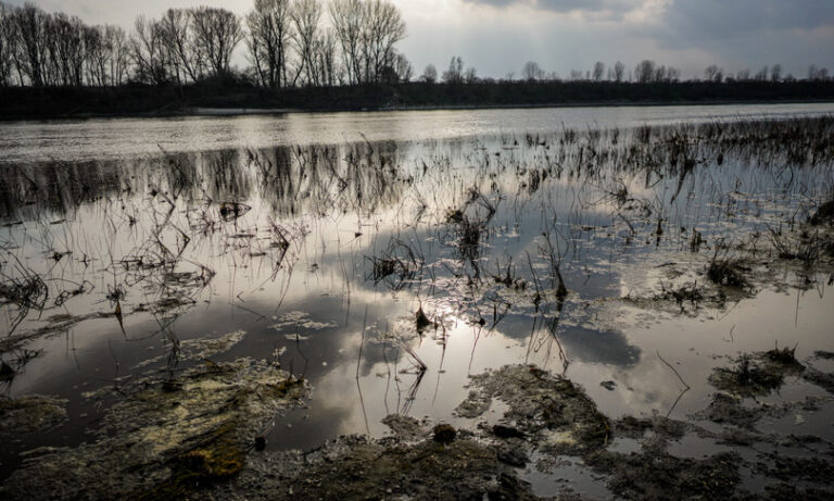 Il tasso di siccità nel mondo è il più alto da 30 anni