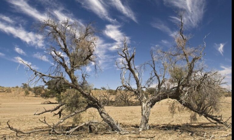 Youth4Climate, 130 giovani a Roma da tutto il mondo per confrontarsi sul clima