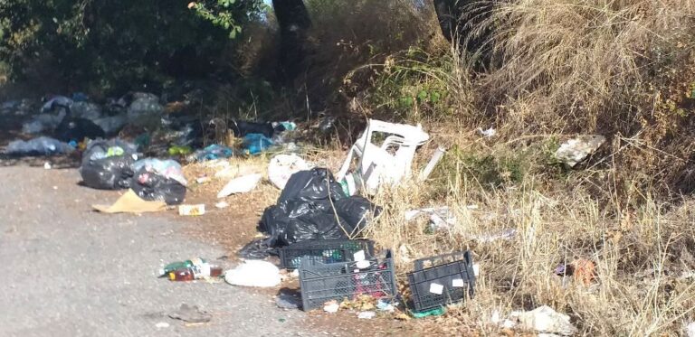 “Da Cerveteri a Bracciano scenario desolante, cataste di rifiuti contaminano il bel paesaggio”