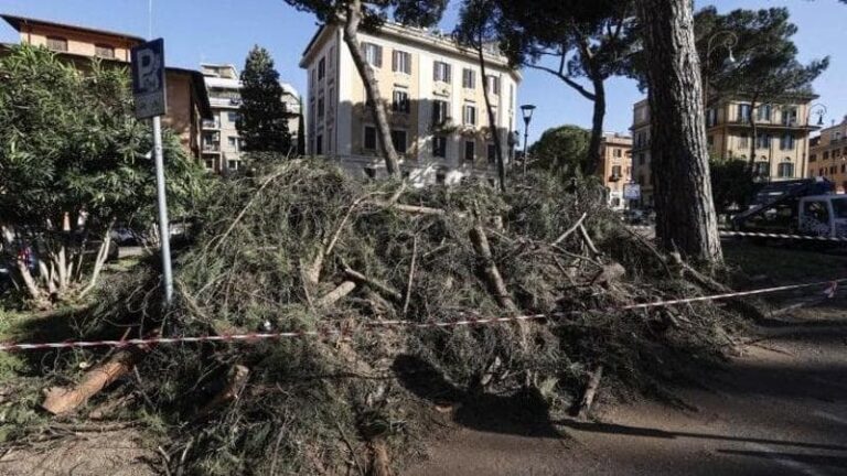 Cadono alberi, altri crolli a Roma: denunciati due tecnici