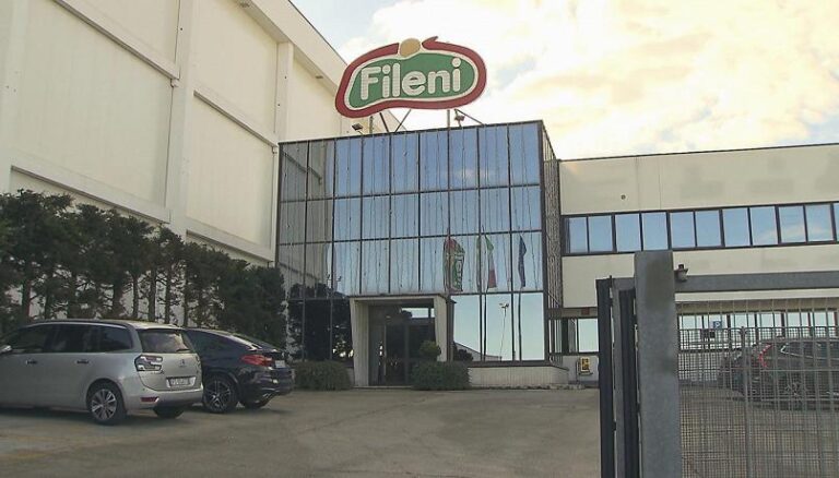 Jesi: malviventi staccano la corrente per un furto poi fallito, morti asfissiati 240mila polli