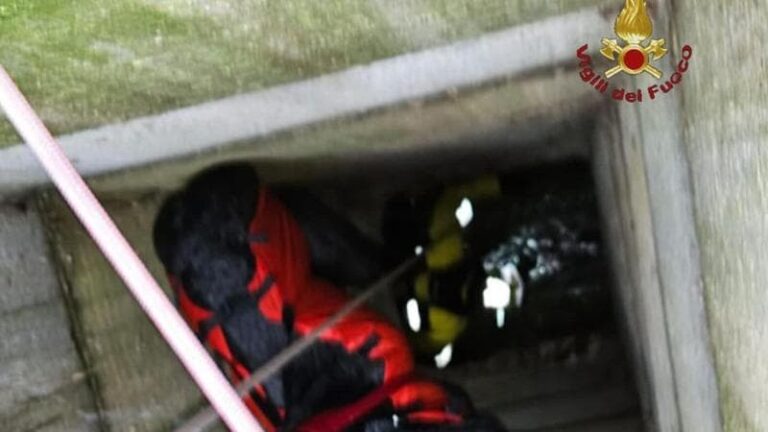 Cane cade in un pozzo profondo dieci metri: salvato dai Vigili del Fuoco