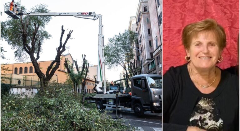 L’albero che ha ucciso Teresa Veglianti doveva essere abbattuto