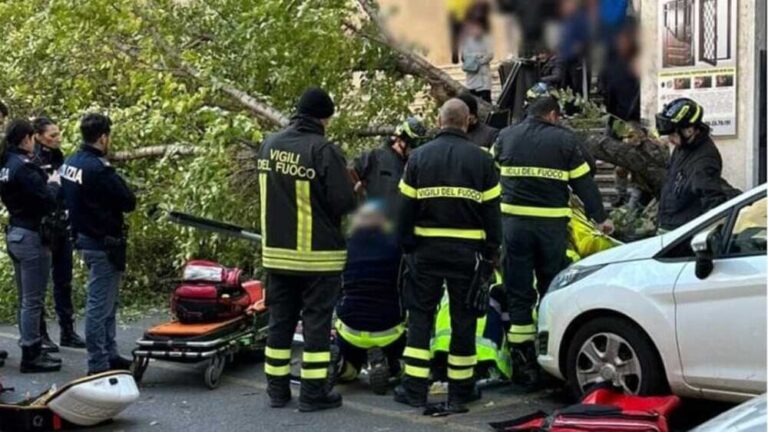 Donna morta schiacciata da un albero a Monteverde, lunedì vertice in procura