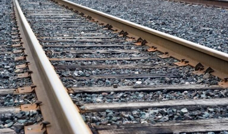 Albero caduto sui binari tra Ceprano    e Ceccano, caos treni