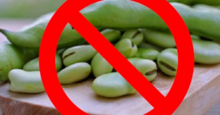 Prevenzione favismo, emessa l’ordinanza