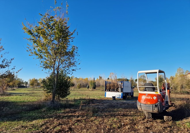 Forestazione urbana, al via intervento decreto clima a Pietralata