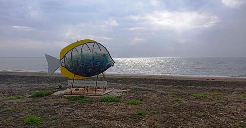Il comitato cittadini di Cerenova chiede accertamenti sulla sicurezza del pesce mangia plastica